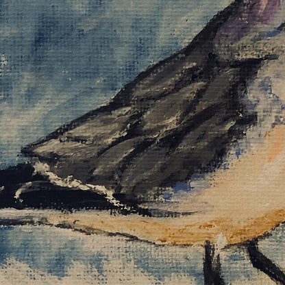 Laughing Gull Door Mat 30x50