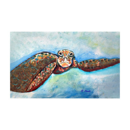 Turtle Looking At Me Door Mat 30x50