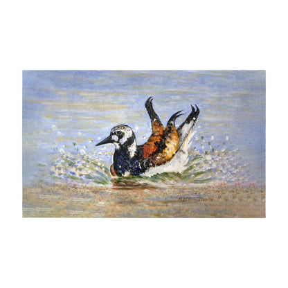 Beach Bird Bath Door Mat 30x50