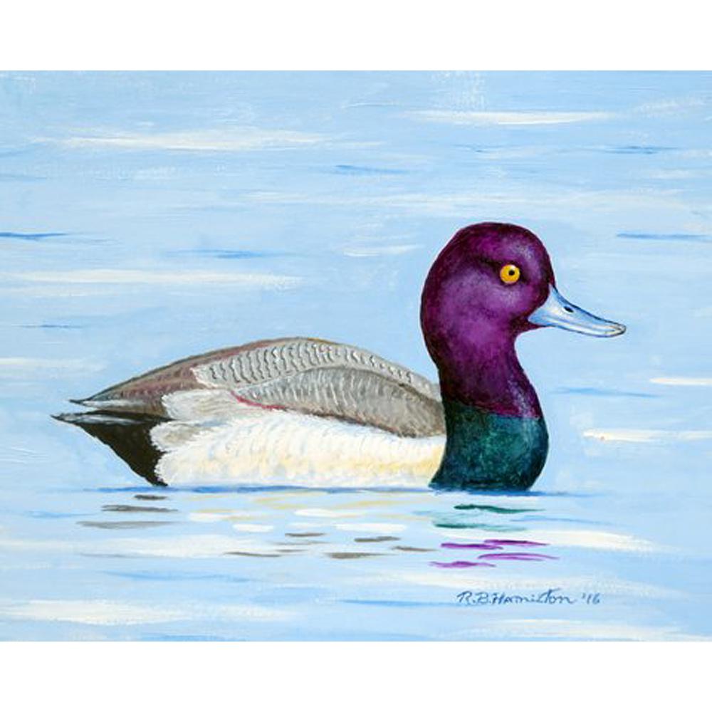 Lesser Scaup Door Mat 30x50