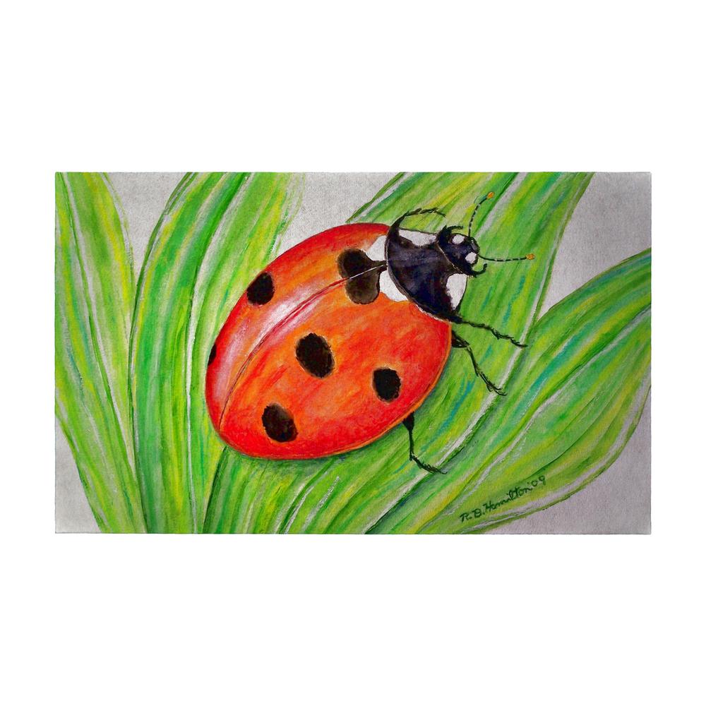 Lady Bug Door Mat 30x50