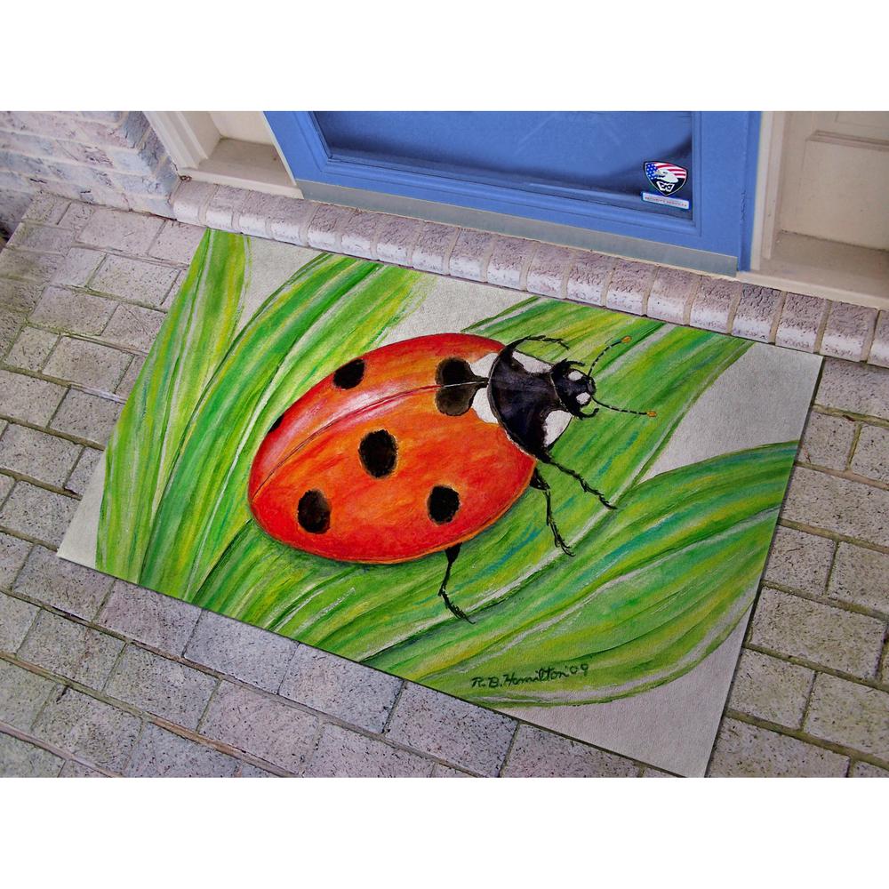 Lady Bug Door Mat 30x50