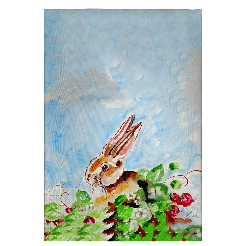 Jack Rabbit Lt Guest Towel