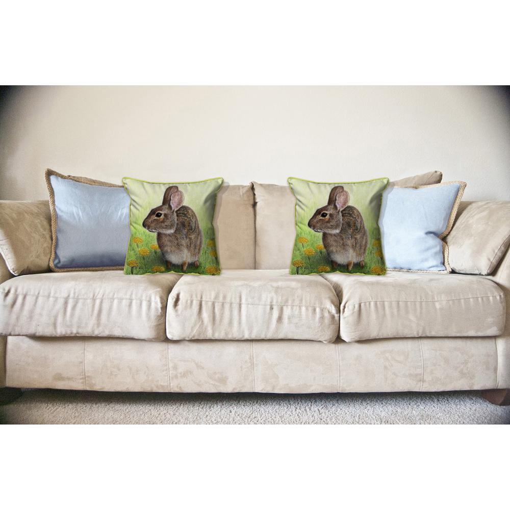 Rabbit Large Indoor/Outdoor Pillow 18x18