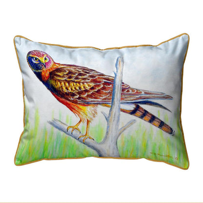 Marsh Hawk Large Indoor/Outdoor Pillow 16x20