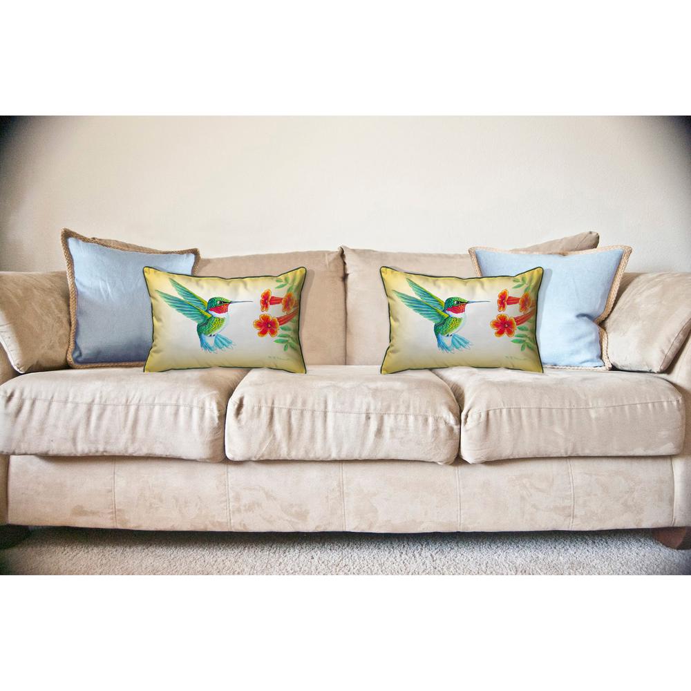 Dick's Hummingbird Large Indoor/Outdoor Pillow 16x20