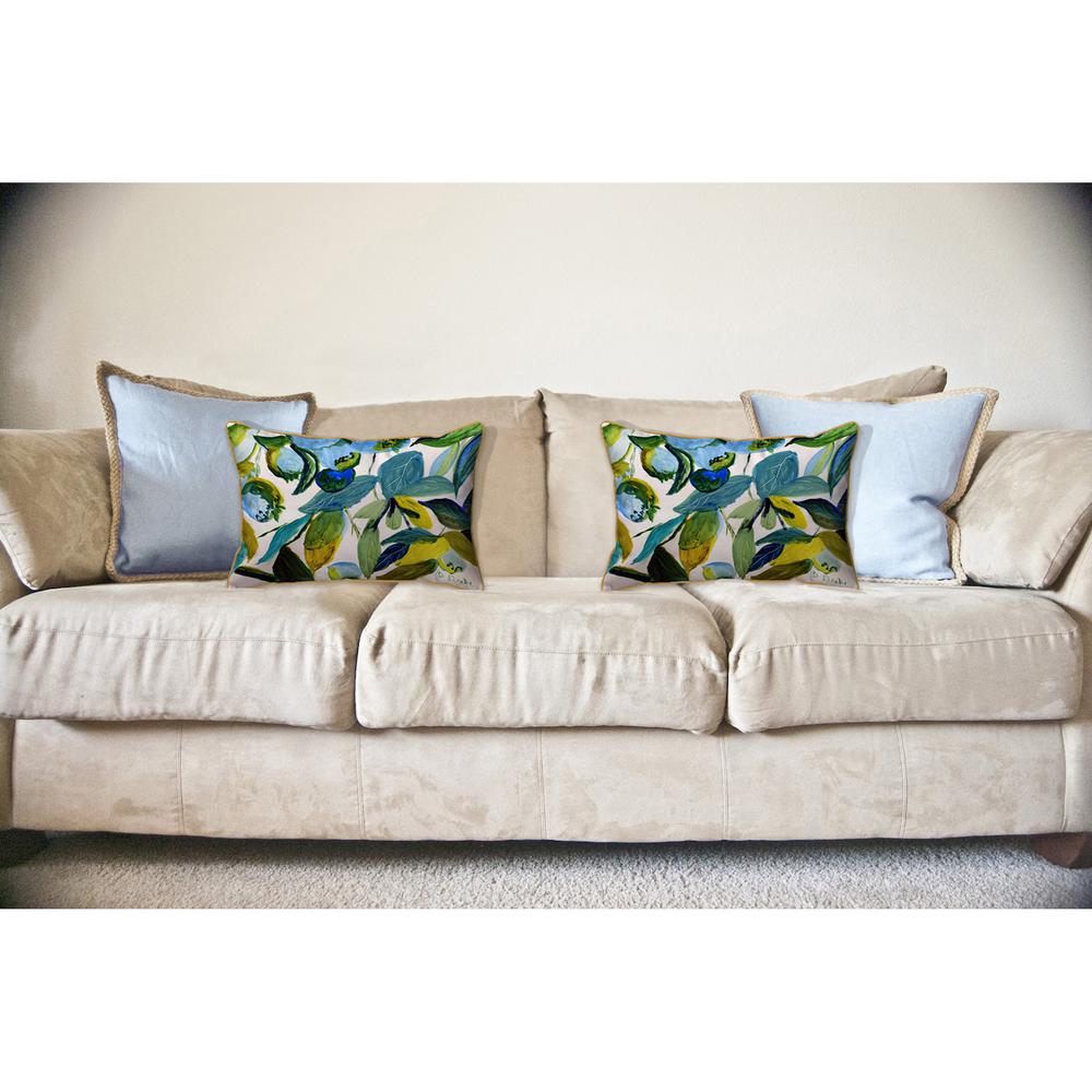 Blueberries Large Indoor/Outdoor Pillow 16x20