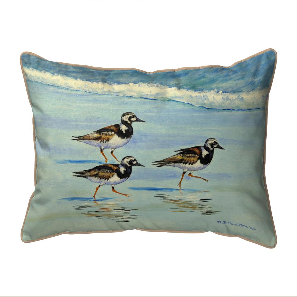 Ruddy Turnstones Large Indoor/Outdoor Pillow 16x20
