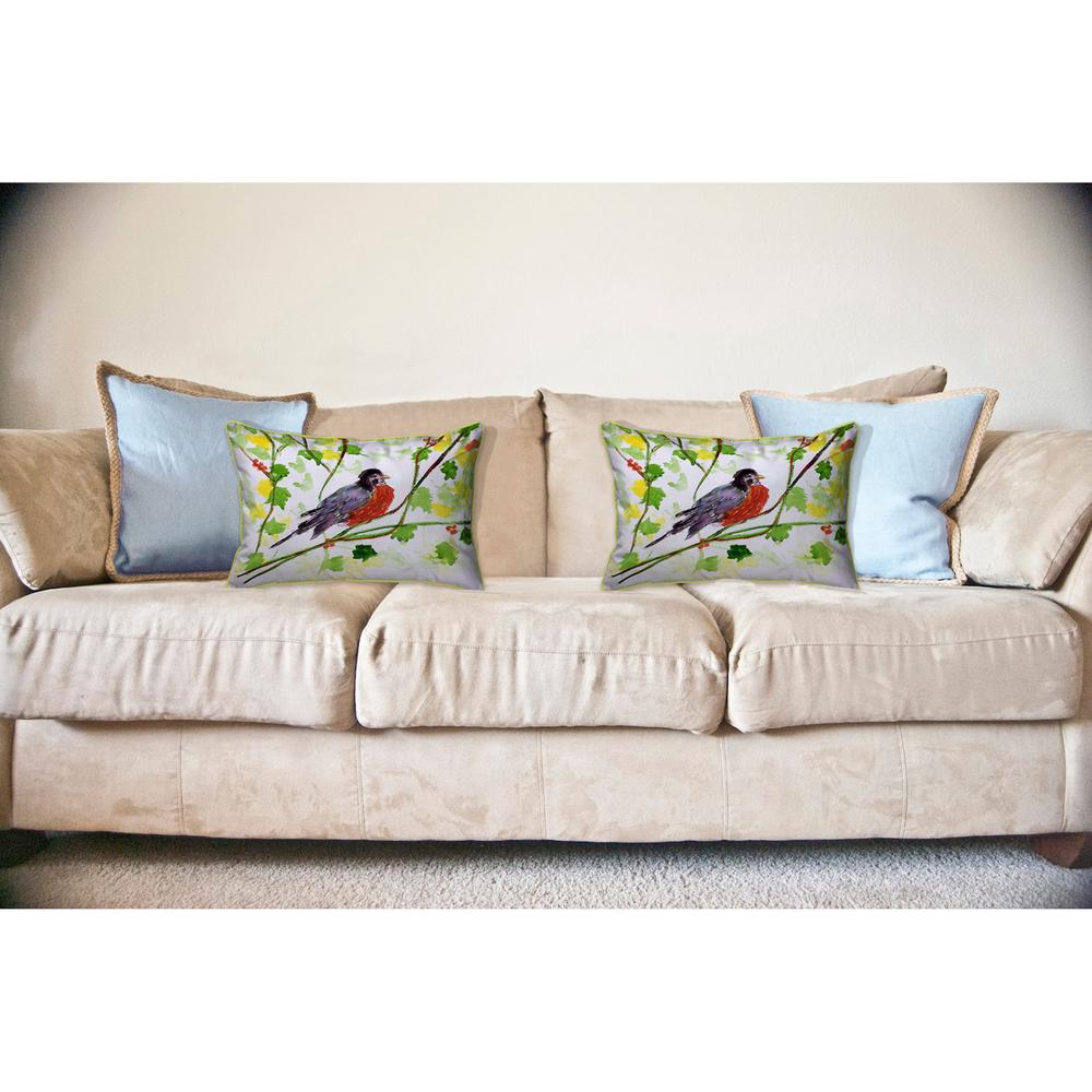Robin Large Indoor/Outdoor Pillow 16x20