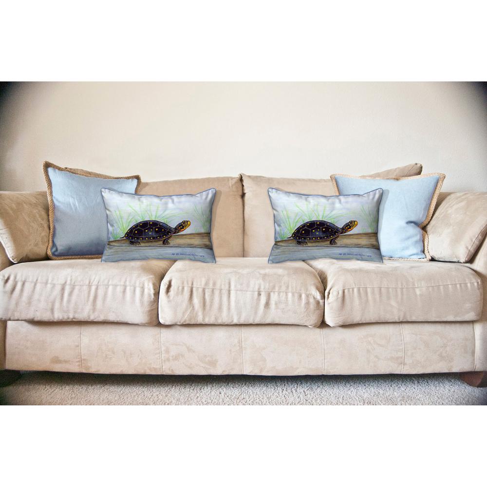 Spotted Turtle Large Indoor/Outdoor Pillow 16x20