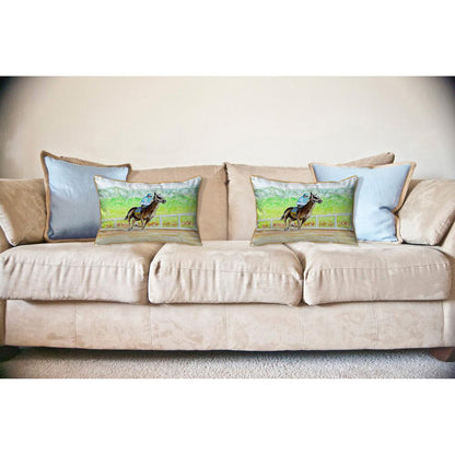 Home Stretch Large Indoor/Outdoor Pillow 16x20