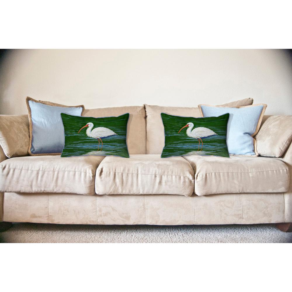 Dick's White Ibis Large Indoor/Outdoor Pillow 16x20