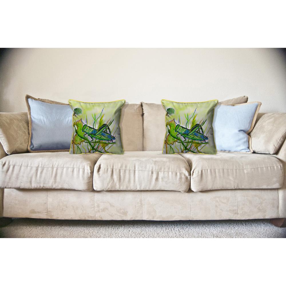 Grasshopper Large Indoor/Outdoor Pillow 18x18