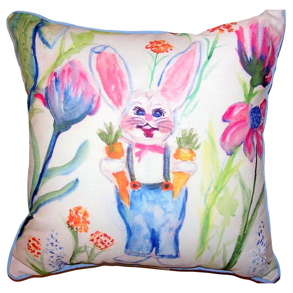 Mr. Farmer Large Indoor/Outdoor Pillow 18x18