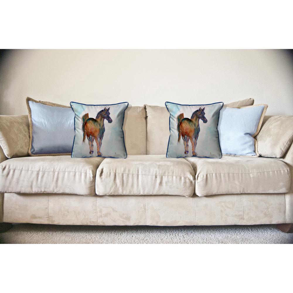 Colt Large Indoor/Outdoor Pillow 18x18