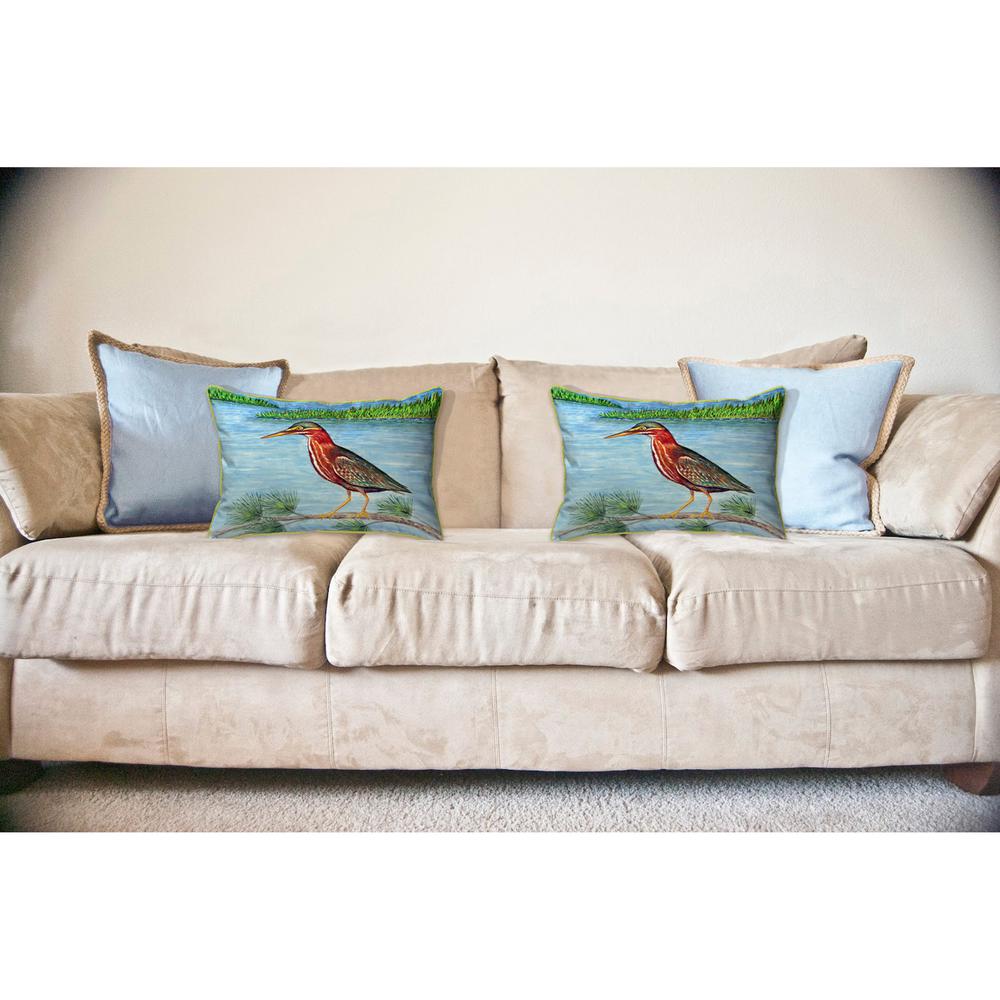 Green Heron II Large Indoor/Outdoor Pillow 16x20
