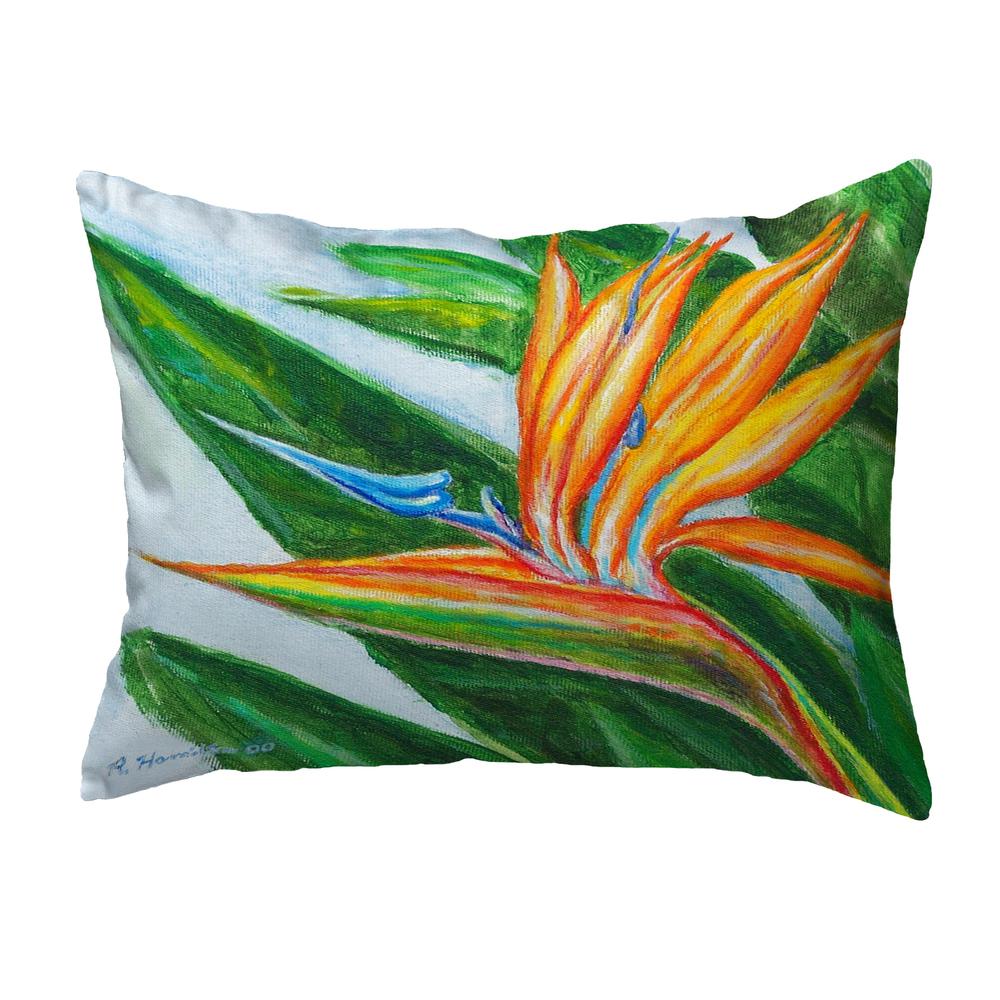 Bird of Paradise Small No-Cord Pillow 11x14