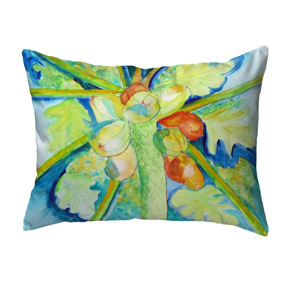 Big Cocoa Nuts Noncorded Indoor/Outdoor Pillow 11x14