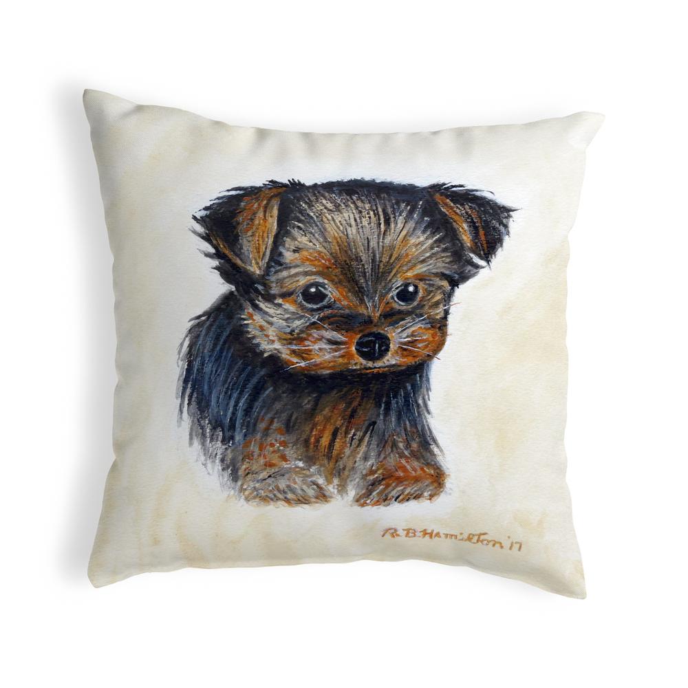 Tauris Small No-Cord Pillow 12x12