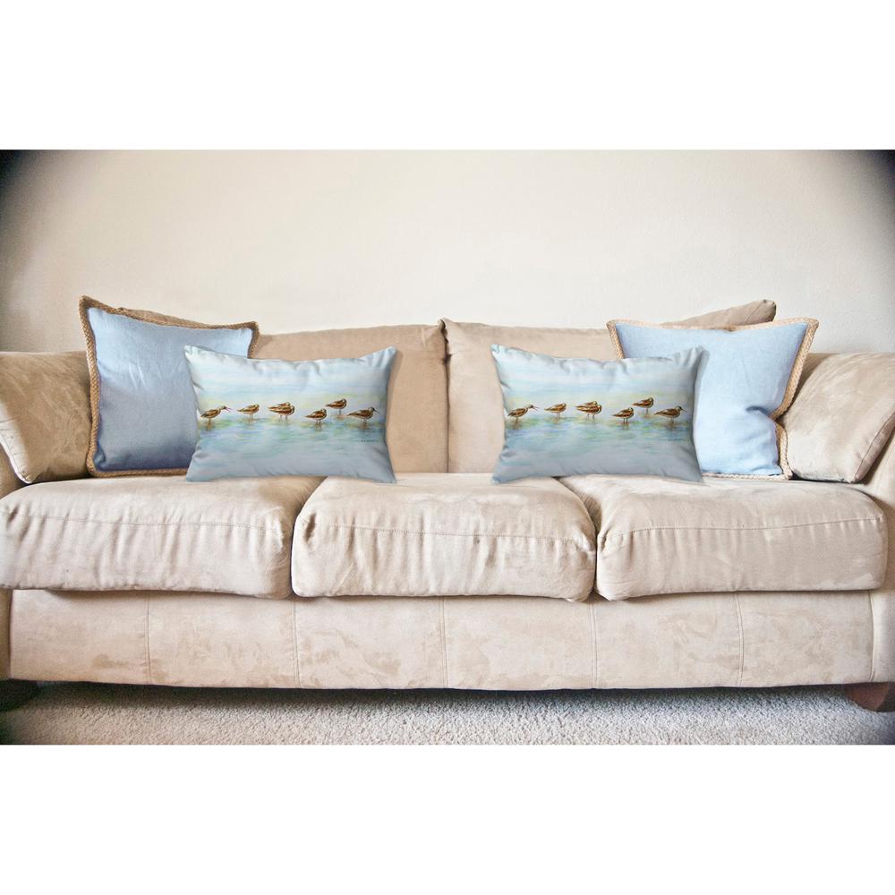 Avocets No Cord Pillow 16x20