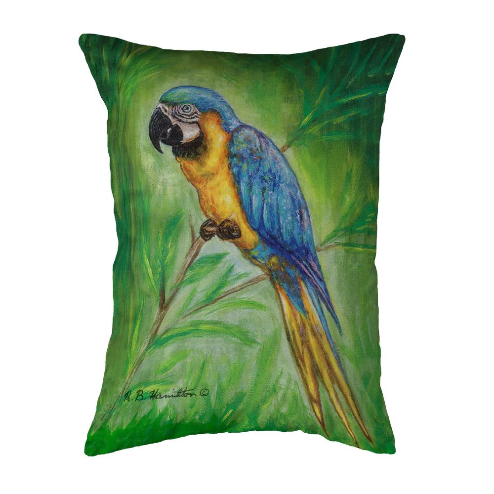 Blue Macaw Large Noncorded Pillow