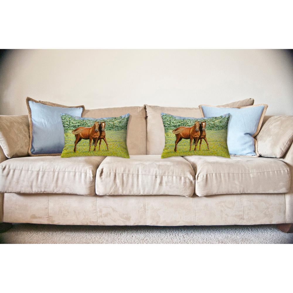 Two Horses No Cord Pillow 16x20
