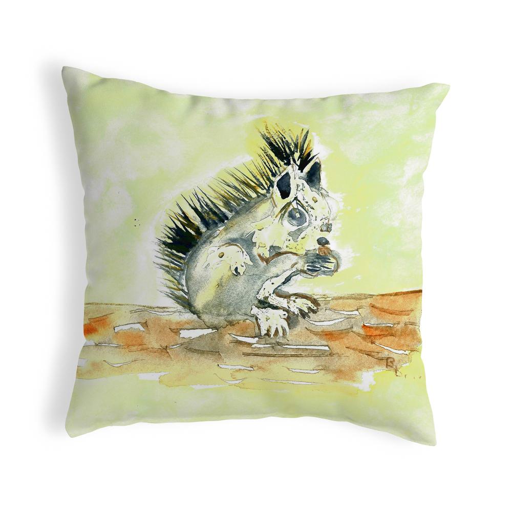 Baby Squirrel Noncorded Pillow 18x18