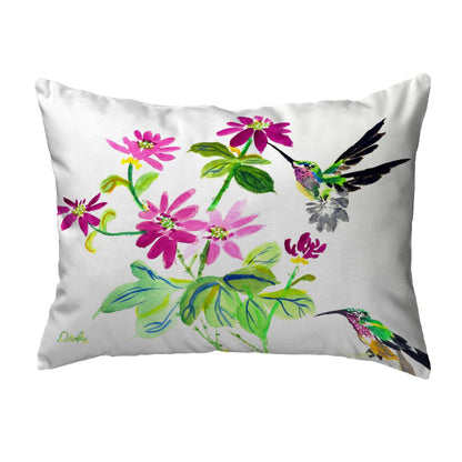 Ruby Throat Noncorded Indoor/Outdoor Pillow 16x20