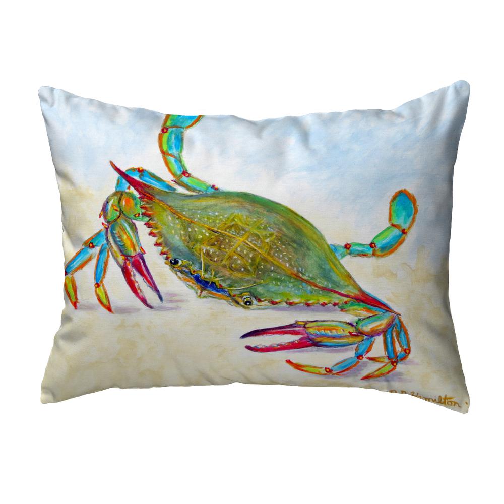 More Than Blue Noncorded Indoor/Outdoor Pillow 16x20