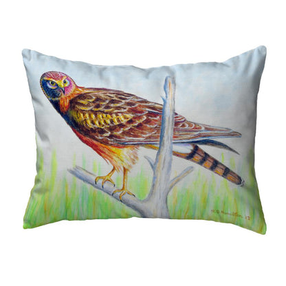 Marsh Hawk Noncorded Indoor/Outdoor Pillow 16x20