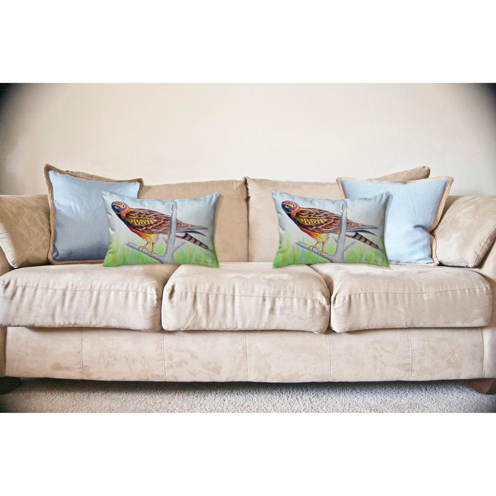 Marsh Hawk Noncorded Indoor/Outdoor Pillow 16x20