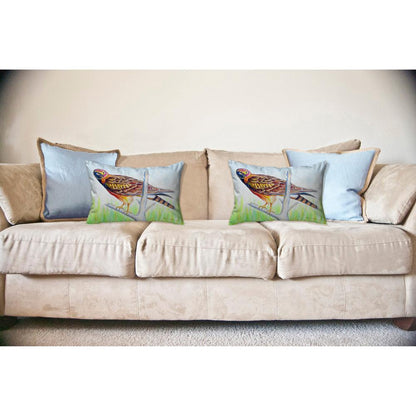Marsh Hawk Noncorded Indoor/Outdoor Pillow 16x20