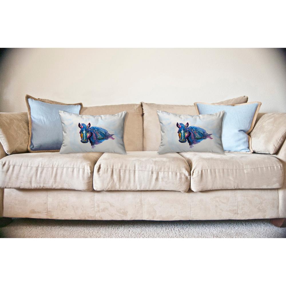 Old Mare Noncorded Indoor/Outdoor Pillow 16x20