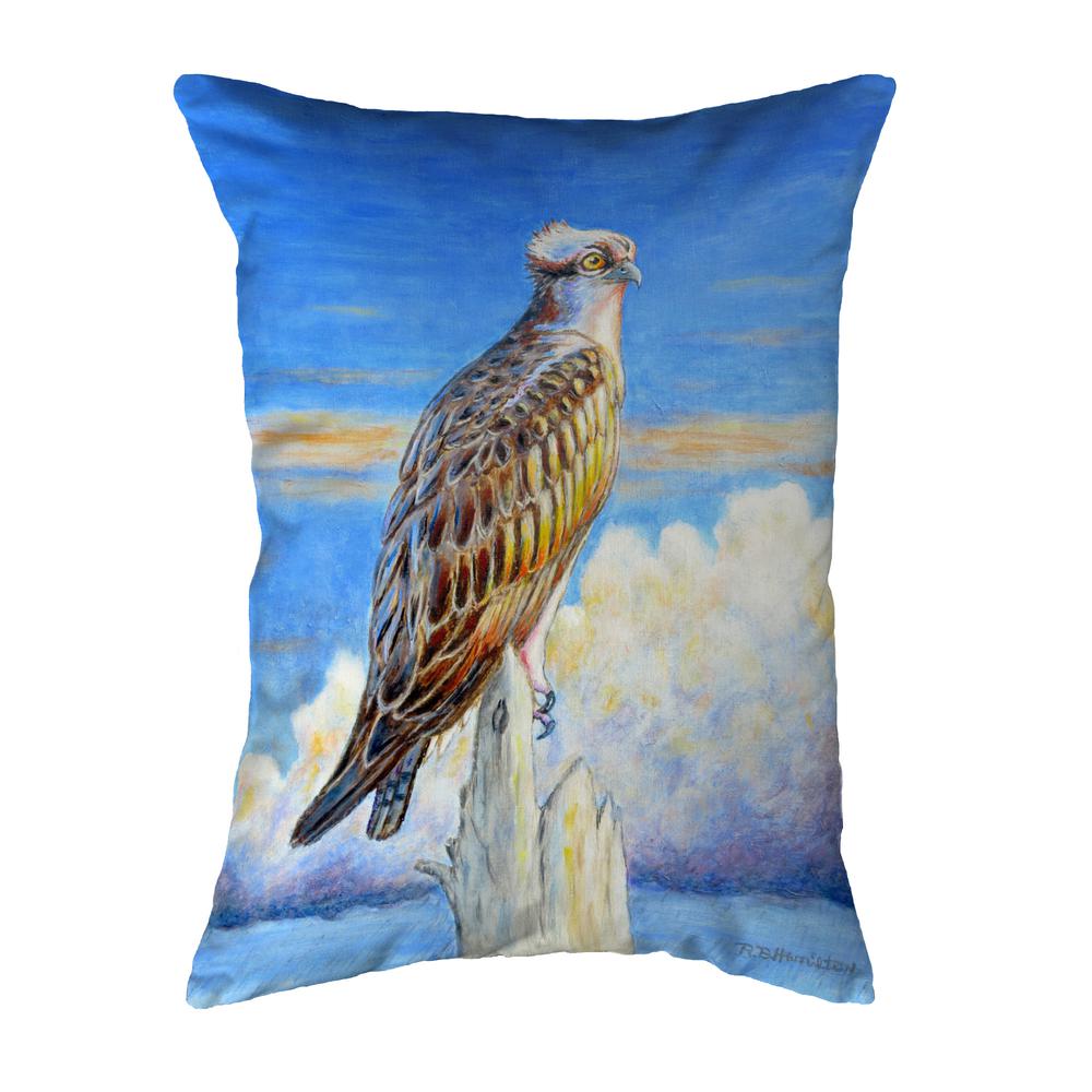 Osprey Storm No Cord Pillow 16x20