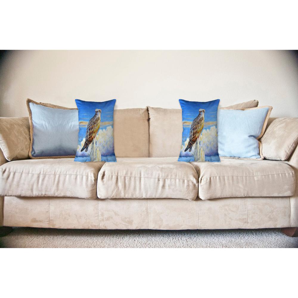 Osprey Storm No Cord Pillow 16x20
