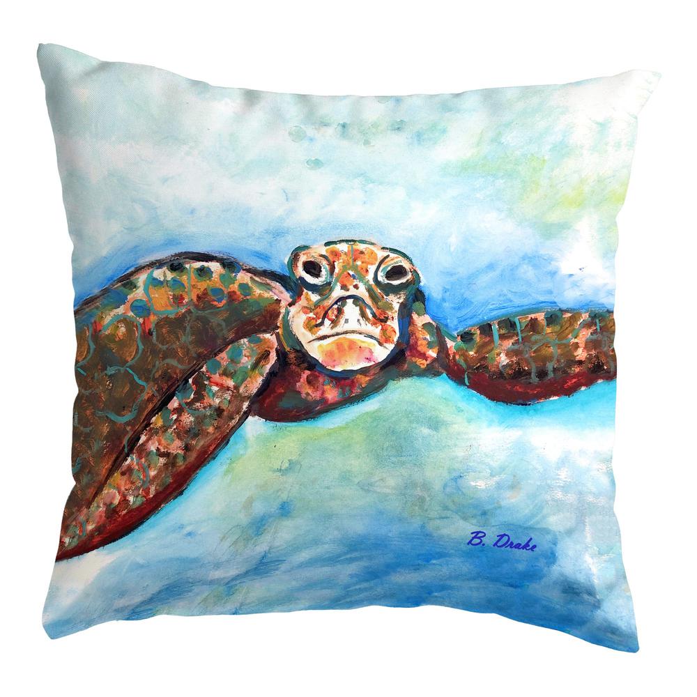 Turtle Looking At Me No Cord Pillow 18x18