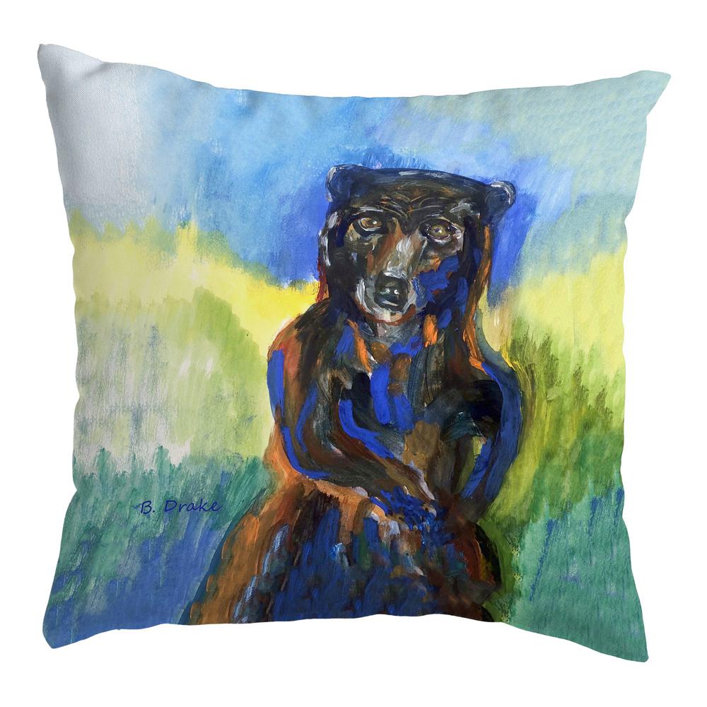 Dancing Bear No Cord Pillow 18x18