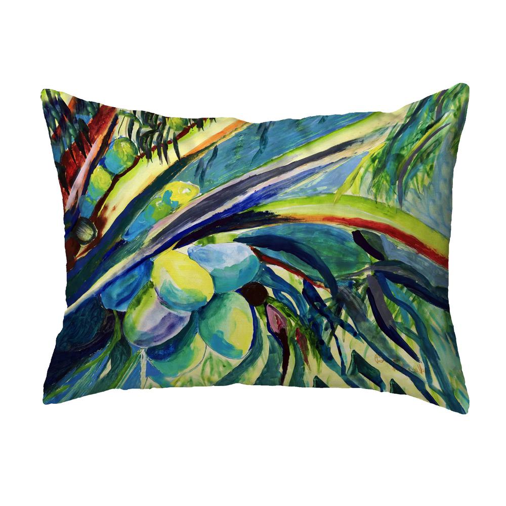 Cocoa Nuts III No Cord Pillow 16x20