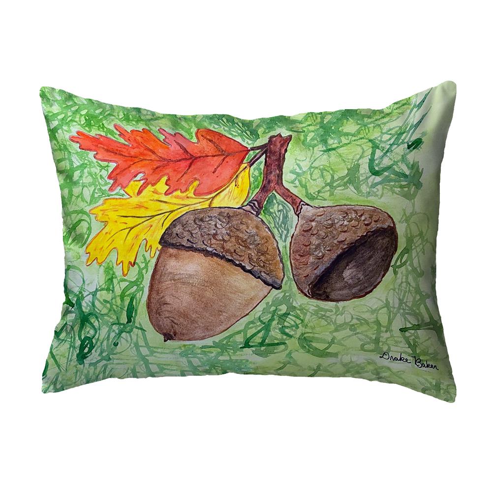 Drake's Acorns No Cord Pillow 16x20