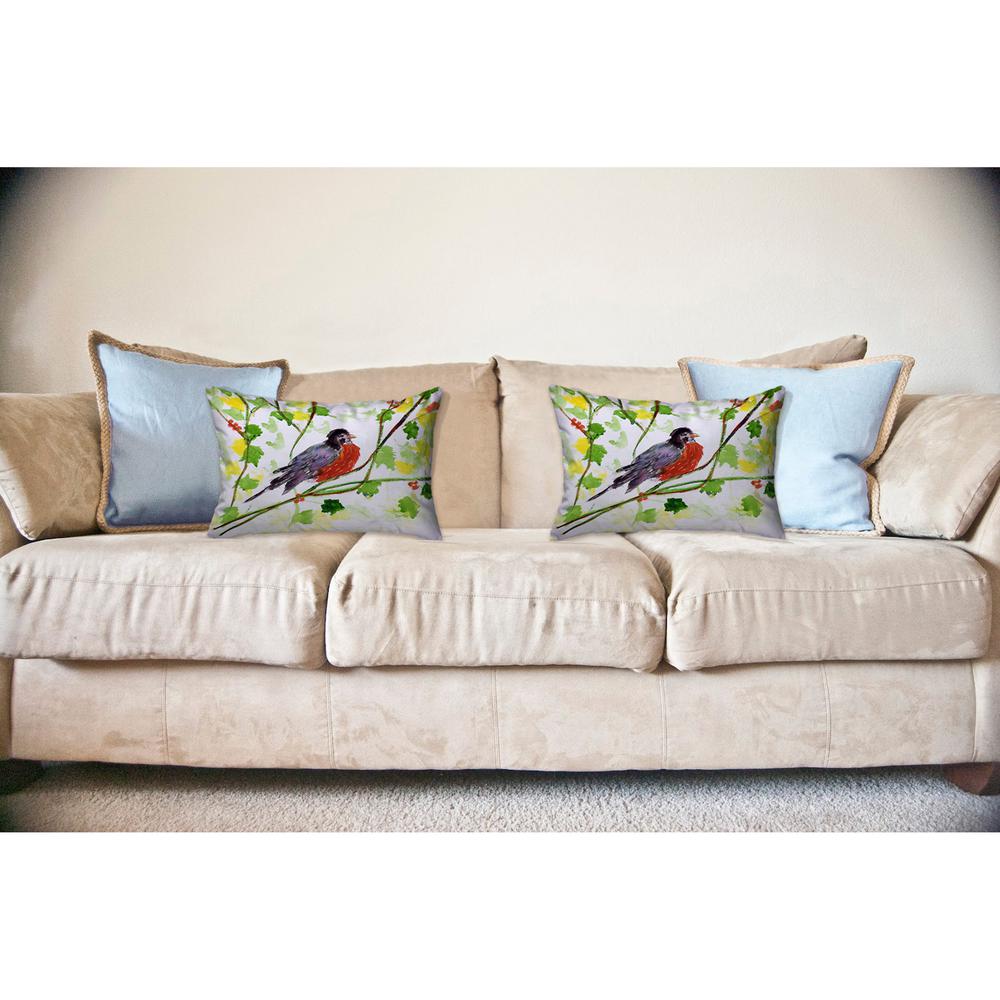 Robin No Cord Pillow 16x20