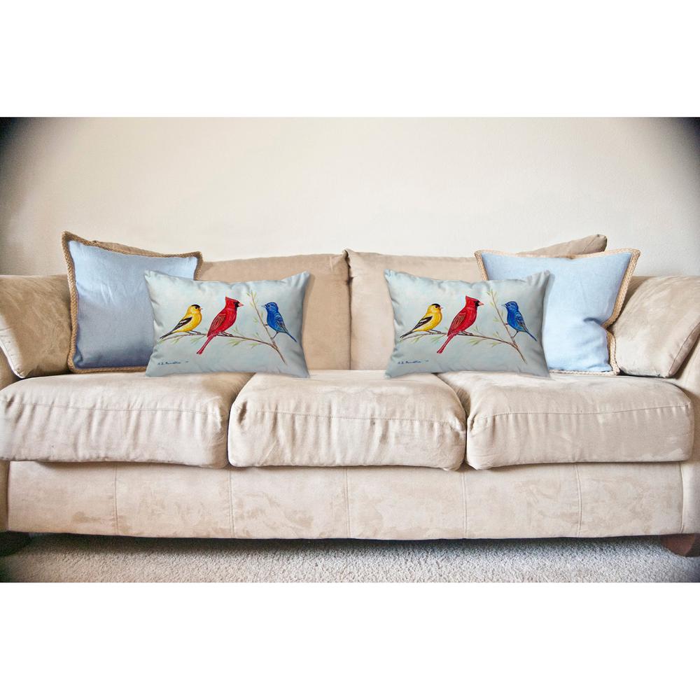Three Birds No Cord Pillow 16x20