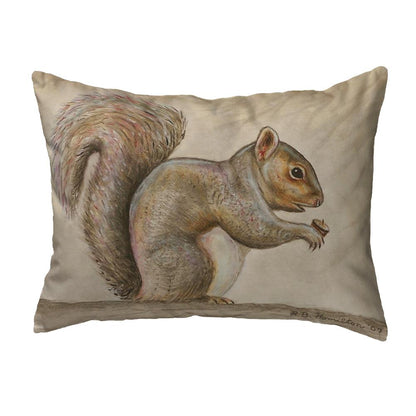 Squirrel No Cord Pillow 16x20