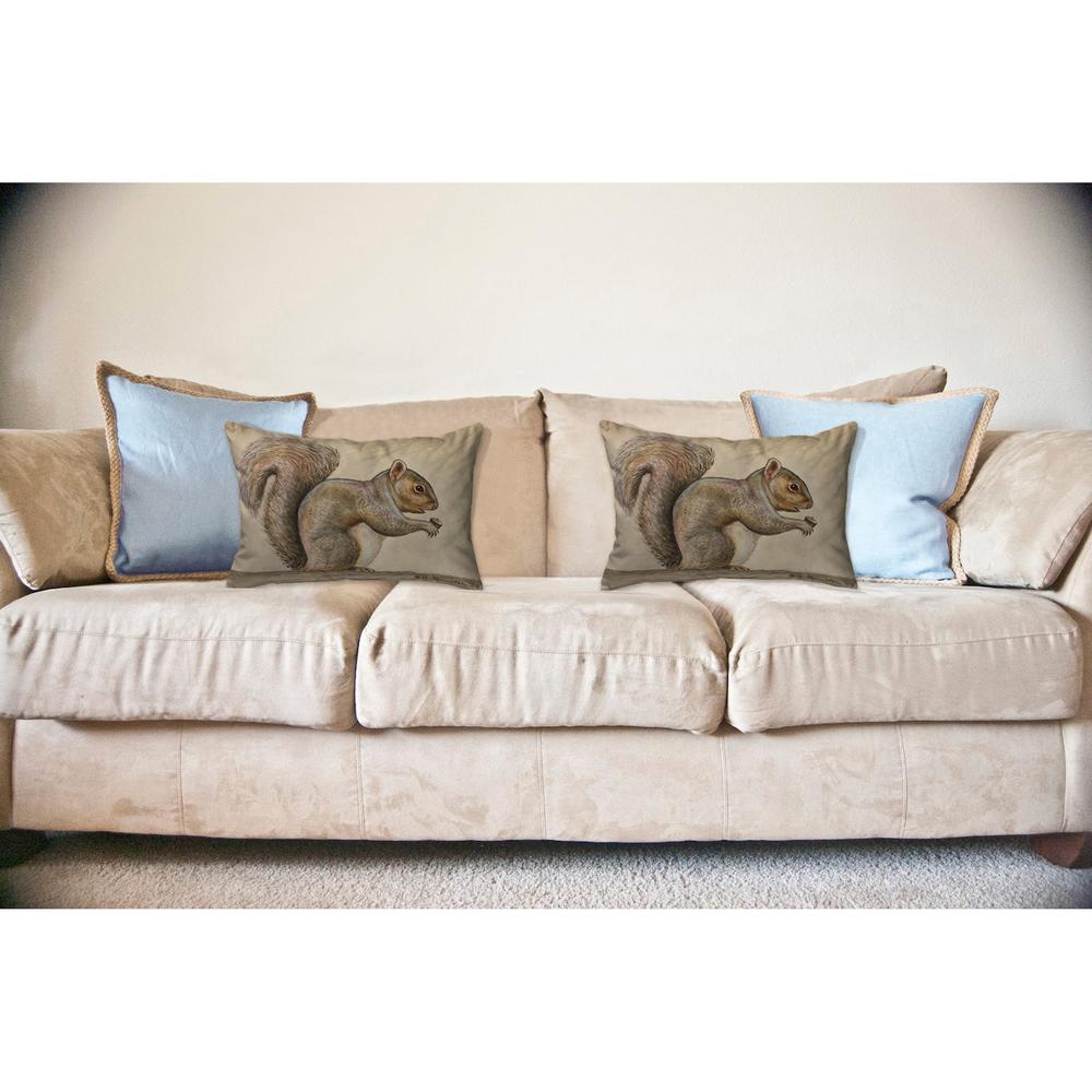 Squirrel No Cord Pillow 16x20