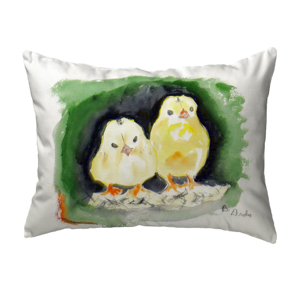 Chicks No Cord Pillow 16x20