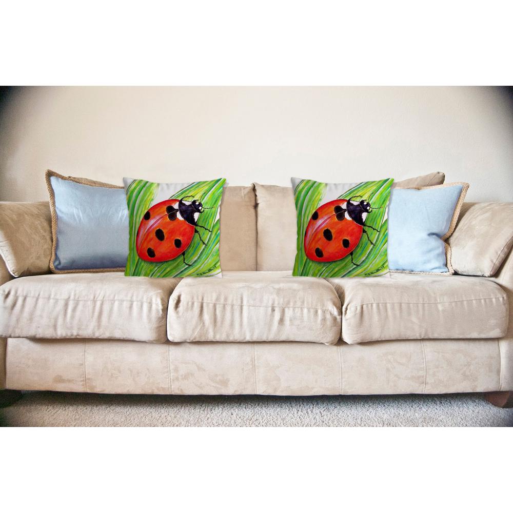Ladybug No Cord Pillow 18x18