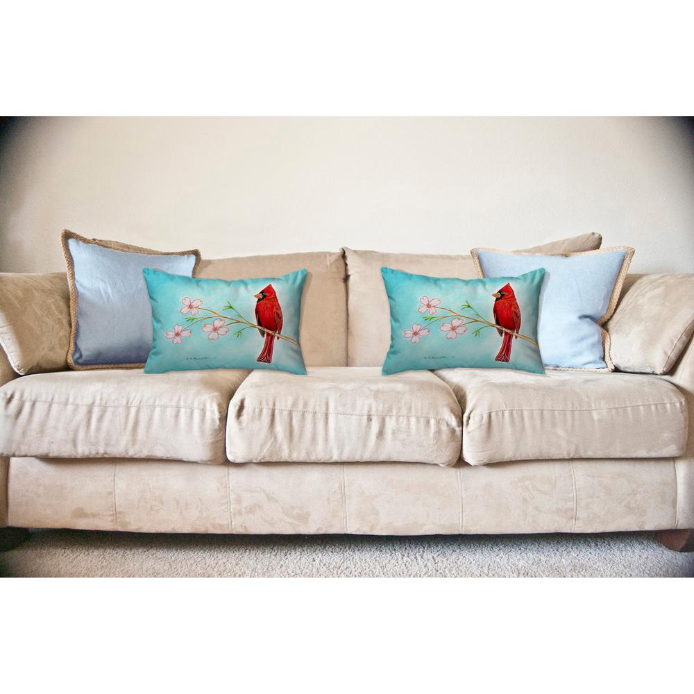 Dick's Cardinal No Cord Pillow 16x20