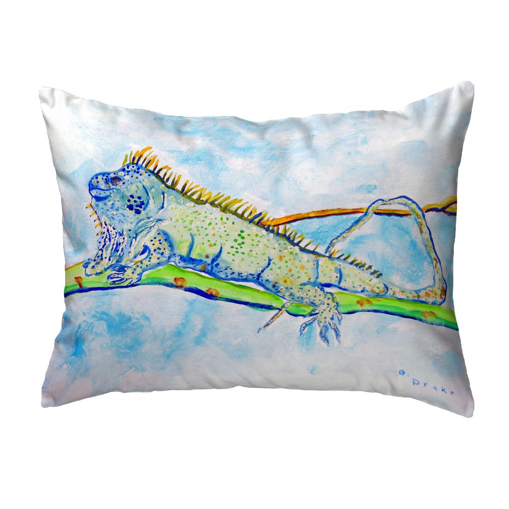 Iguana No Cord Pillow 16x20