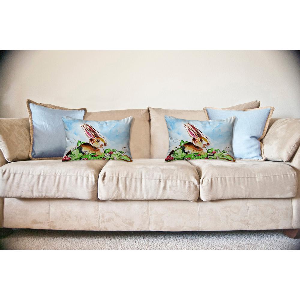 Jack Rabbit Right No Cord Pillow 16x20