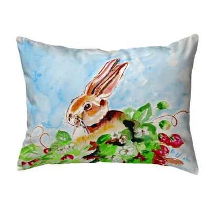 Jack Rabbit Left No Cord Pillow 16x20