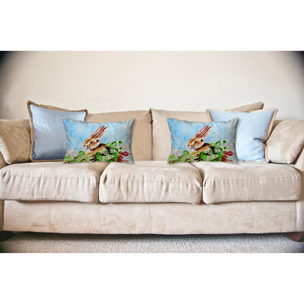Jack Rabbit Left No Cord Pillow 16x20